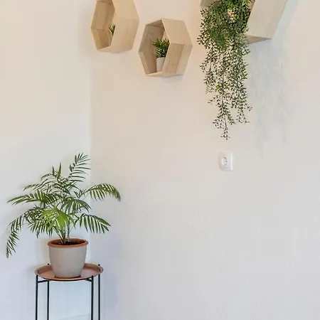 Shades Of Apartment